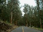 road to Kaleakala